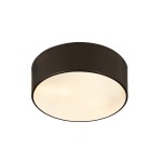 Z-Lite 3 Light Flush Mount