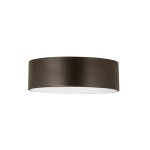 Z-Lite 3 Light Flush Mount