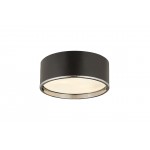 Z-Lite 3 Light Flush Mount