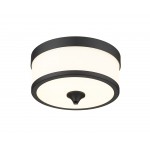 Z-Lite 3 Light Flush Mount