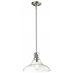 Z-Lite 1 Light Pendant