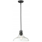 Z-Lite 1 Light Pendant