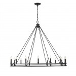 Z-Lite 16 Light Chandelier