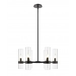 Z-Lite 6 Light Chandelier