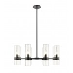 Z-Lite 8 Light Chandelier