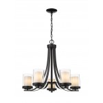 Z-Lite 5 Light Chandelier