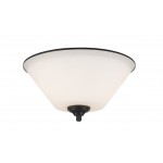 Z-Lite 2 Light Flush Mount