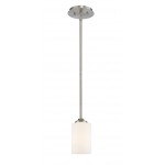 Z-Lite 1 Light Mini Pendant