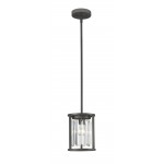 Z-Lite 1 Light Mini Pendant