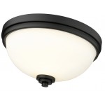 Z-Lite 2 Light Flush Mount