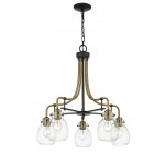 Z-Lite 5 Light Chandelier