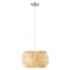 Z-Lite 1 Light Pendant