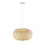 Z-Lite 6 Light Pendant