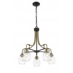 Z-Lite 5 Light Chandelier