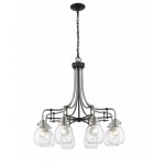 Z-Lite 8 Light Chandelier