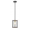 Z-Lite 1 Light Mini Pendant