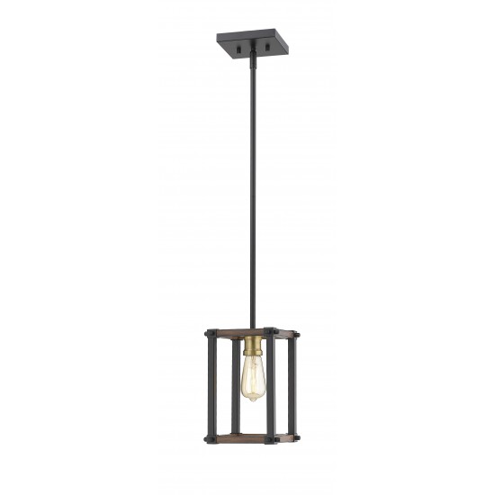 Z-Lite 1 Light Mini Pendant