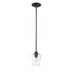 Z-Lite 1 Light Mini Pendant