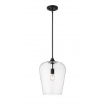 Z-Lite 1 Light Pendant