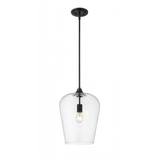 Z-Lite 1 Light Pendant