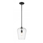 Z-Lite 1 Light Pendant