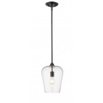 Z-Lite 1 Light Pendant