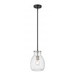 Z-Lite 1 Light Mini Pendant