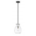 Z-Lite 1 Light Mini Pendant