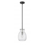 Z-Lite 1 Light Mini Pendant