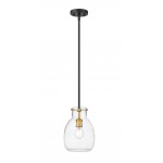 Z-Lite 1 Light Mini Pendant