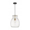 Z-Lite 1 Light Pendant