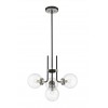 Z-Lite 4 Light Chandelier