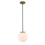 Z-Lite 1 Light Pendant