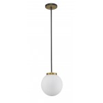 Z-Lite 1 Light Pendant