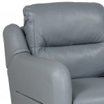 Newton Hill Upholstered Bustle Back Arm Chair in Gray LeatherSoft