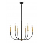 Z-Lite 6 Light Chandelier