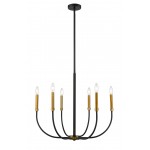 Z-Lite 6 Light Chandelier