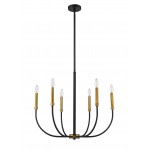 Z-Lite 6 Light Chandelier