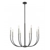 Z-Lite 8 Light Chandelier