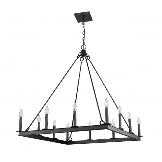 Z-Lite 12 Light Chandelier