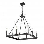 Z-Lite 8 Light Chandelier