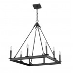 Z-Lite 8 Light Chandelier