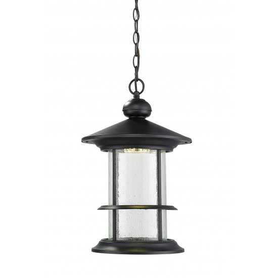 Z-Lite Outdoor LED Chain Hung Light