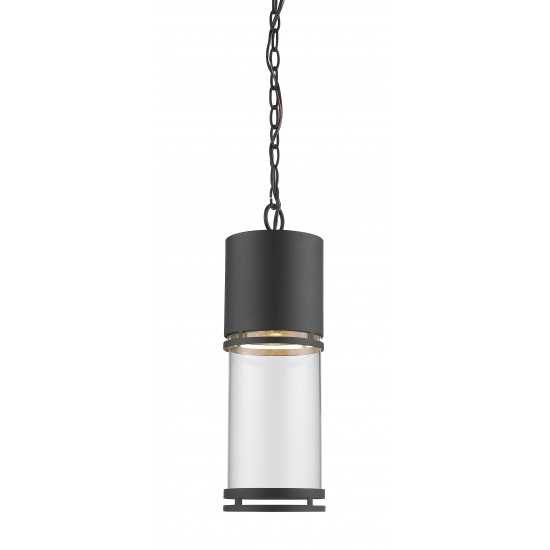 Z-Lite Outdoor LED Chain Hung Light