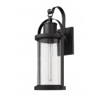 Z-Lite 1 Light Outdoor Wall Sconce