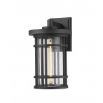 Z-Lite 1 Light Outdoor Wall Sconce