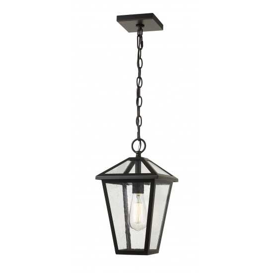 Z-Lite 1 Light Outdoor Chain Mount Ceiling Fixture