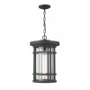 Z-Lite 1 Light Outdoor Chain Mount Ceiling Fixture