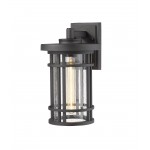 Z-Lite 1 Light Outdoor Wall Sconce