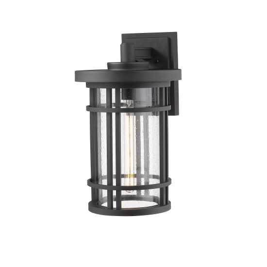 Z-Lite 1 Light Outdoor Wall Sconce